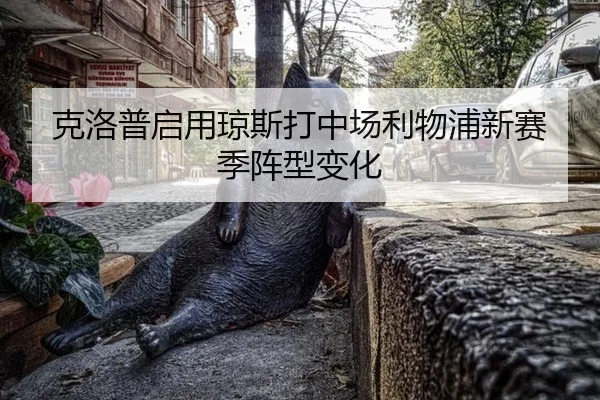 ke-luo-pu-qi-yong-qiong-si-da-zhong-chang-li-wu-pu-xin-sai-ji-zhen-xing-bian-hua-3-741.jpg