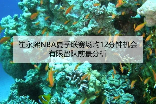 崔永熙NBA夏季联赛场均12分钟机会有限留队前景分析